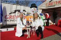 Mikulas_Greyhound_Race_2011_Czech_Greyhound_Racing_Federation_IMG_1350.JPG