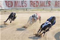 007_Mikulas_Greyhound_Race_2011_Czech_Greyhound_Racing_Federation_DSC03391.JPG