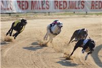 007_Mikulas_Greyhound_Race_2011_Czech_Greyhound_Racing_Federation_DSC03392.JPG