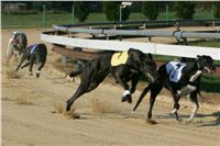 010_Mikulas_Greyhound_Race_2011_Czech_Greyhound_Racing_Federation_NQ1M0030.JPG