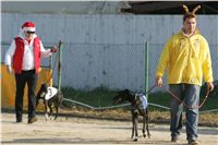 012_Mikulas_Greyhound_Race_2011_Czech_Greyhound_Racing_Federation_NQ1M0037.JPG