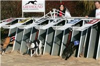 015_Mikulas_Greyhound_Race_2011_Czech_Greyhound_Racing_Federation_NQ1M0077.JPG