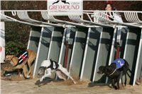 016_Mikulas_Greyhound_Race_2011_Czech_Greyhound_Racing_Federation_NQ1M0078.JPG