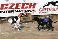 019_Mikulas_Greyhound_Race_2011_Czech_Greyhound_Racing_Federation_NQ1M0083.JPG