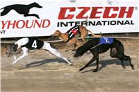 020_Mikulas_Greyhound_Race_2011_Czech_Greyhound_Racing_Federation_NQ1M0084.JPG
