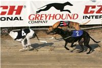 021_Mikulas_Greyhound_Race_2011_Czech_Greyhound_Racing_Federation_NQ1M0085.JPG