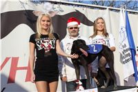 Mikulas_Greyhound_Race_2011_Czech_Greyhound_Racing_Federation_IMG_1335.JPG