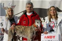 Andy_vystava_chrtu_Czech_Greyhound_Racing_Federation_NQ1M0144.JPG