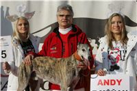 Andy_vystava_chrtu_Czech_Greyhound_Racing_Federation_NQ1M0144.jpg