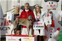 Andy_vystava_chrtu_Czech_Greyhound_Racing_Federation_NQ1M0157.JPG