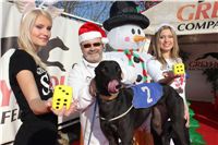 Cassandra_vystava_chrtu_Czech_Greyhound_Racing_Federation_IMG_1261.JPG