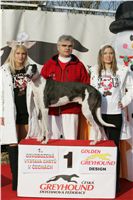 Cayenn_vystava_chrtu_Czech_Greyhound_Racing_Federation_NQ1M0166.JPG