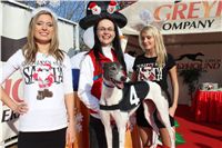 Chanel_vystava_chrtu_Czech_Greyhound_Racing_Federation_IMG_1290.JPG