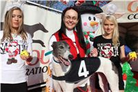 Chanel_vystava_chrtu_Czech_Greyhound_Racing_Federation_IMG_1292.JPG
