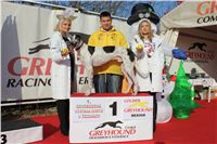 Flash_vystava_chrtu_Czech_Greyhound_Racing_Federation_IMG_1399.JPG
