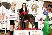 Gabbana_vystava_chrtu_Czech_Greyhound_Racing_Federation_NQ1M0271-u-r.jpg
