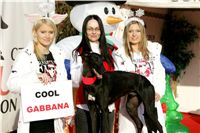 Gabbana_vystava_chrtu_Czech_Greyhound_Racing_Federation_NQ1M0278-u-r.jpg