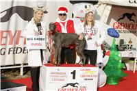 Gucci_vystava_chrtu_Czech_Greyhound_Racing_Federation_NQ1M0311.JPG