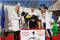 Jamaica_vystava_chrtu_Czech_Greyhound_Racing_Federation_IMG_1166.JPG