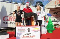 Kenzo_vystava_chrtu_Czech_Greyhound_Racing_Federation_IMG_1409.JPG
