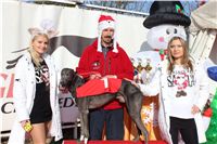 Kewell_vystava_chrtu_Czech_Greyhound_Racing_Federation_IMG_1197.JPG