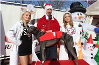 Kewell_vystava_chrtu_Czech_Greyhound_Racing_Federation_IMG_1202.JPG