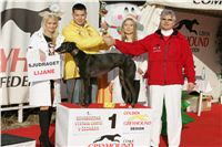 Lijane_vystava_chrtu_Czech_Greyhound_Racing_Federation_NQ1M0220.jpg