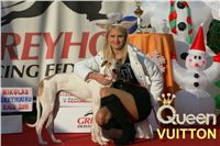 Mikulas_Greyhound_race_2011_Czech_Greyhound_Racing_Federation_NQ1M0398-v-u.jpg