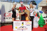 Moet_vystava_chrtu_Czech_Greyhound_Racing_Federation_IMG_1270.JPG