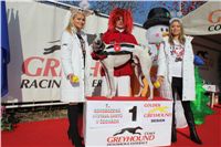 White_vystava_chrtu_Czech_Greyhound_Racing_Federation_IMG_1180.JPG