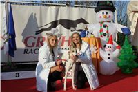 z_vystava_chrtu_Czech_Greyhound_Racing_Federation_IMG_1526.JPG