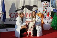 z_vystava_chrtu_Czech_Greyhound_Racing_Federation_IMG_1529.JPG