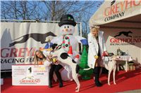 z_vystava_chrtu_Czech_Greyhound_Racing_Federation_IMG_1543.JPG