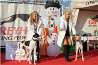 z_vystava_chrtu_Czech_Greyhound_Racing_Federation_IMG_1550.JPG