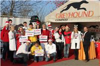 z_vystava_chrtu_Czech_Greyhound_Racing_Federation_IMG_1553.JPG