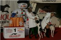 z_vystava_chrtu_Czech_Greyhound_Racing_Federation_NQ1M0340.JPG