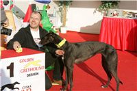 z_vystava_chrtu_Czech_Greyhound_Racing_Federation_NQ1M0488.JPG