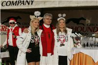 z_vystava_chrtu_Czech_Greyhound_Racing_Federation_NQ1M0511.JPG