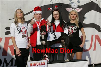NewMac_Dior_Mikulas_Greyhound_Race_2011_Czech_Greyhound_Racing_Federation_NQ1M0063_u.jpg