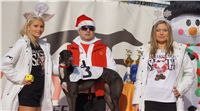 Dior_Mikulas_dostihy_chrtu_Czech_Greyhound_Racing_Federation_foto2.JPG