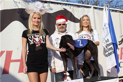 Mikulas_Greyhound_Race_2011_Czech_Greyhound_Racing_Federation_IMG_1335.jpg