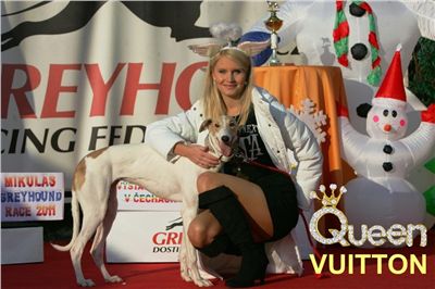 Mikulas_Greyhound_race_2011_Czech_Greyhound_Racing_Federation_NQ1M0398-v-u.jpg