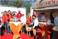 0011_Czech_Derby_Czech_Greyhound_Racing_Federation_IMG_0195.JPG
