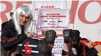 0025_Czech_Derby_Czech_Greyhound_Racing_Federation_DSC02300.JPG