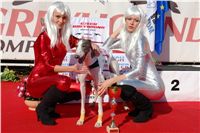 Czech_Derby_Czech_Greyhound_Racing_Federation_DSC00138.JPG