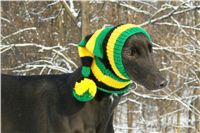 Greyhound_Jamaica_1_Running_Gag_CGDF.jpg
