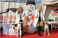 Zlaty_Chrt_Vuitton_Design_Czech_Greyhound_Racing_Federation_IMG_1550.JPG