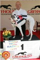 008_Zlaty_Chrt_Velmistr_White_Czech_Greyhound_Racing_Federation_NQ1M7499.jpg