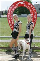 030_Zlaty_Chrt_Velmistr_White_Czech_Greyhound_Racing_Federation_NQ1M0169.jpg