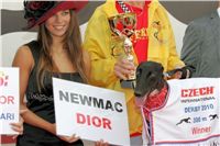 008_Zlaty_Chrt_Dior_Czech_Greyhound_Racing_Federation_NQ1M7599.jpg